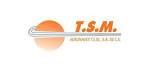 Aeronaves TSM logo