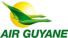 Air Guyane logo french Guinana USED