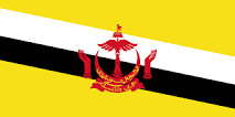 Brune flag