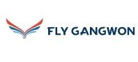 Fly Gangwon logo