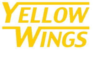 Yellow wings