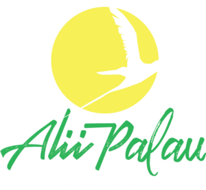 Alii Palau Airlines